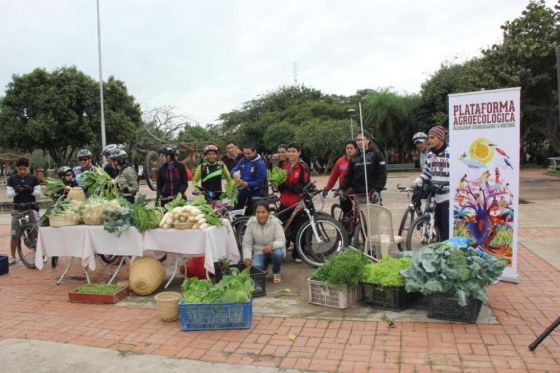 Plataforma Agroecologica Bolivia